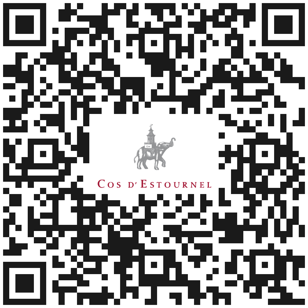 App QR Code