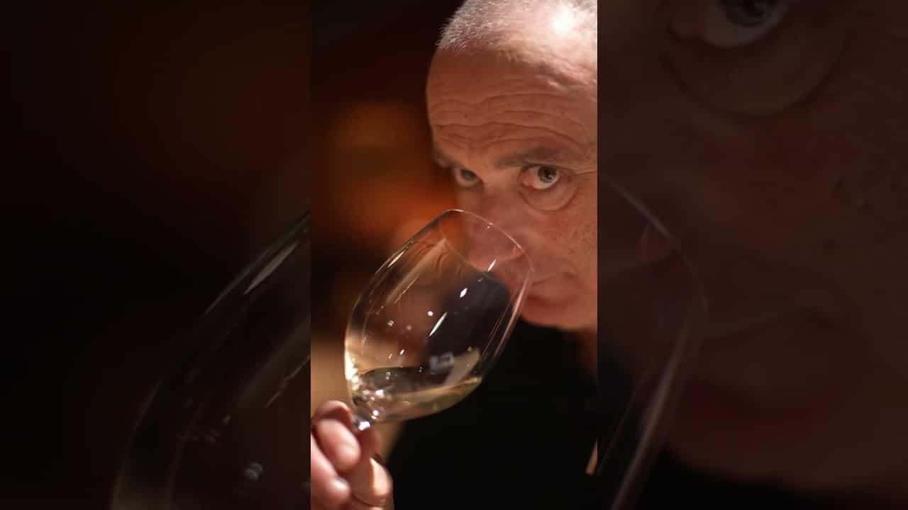 Cos d&rsquo;Estournel Blanc 2024, harmonieux